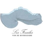 Les Fossiles